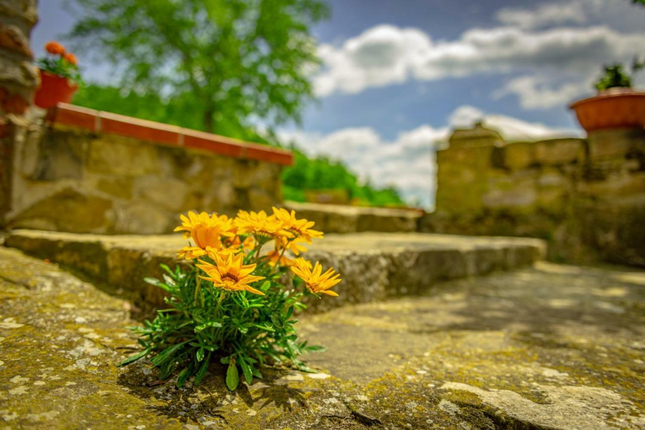 منزل الضيف SantʼEllero  في Casa Al Bosco المظهر الخارجي الصورة